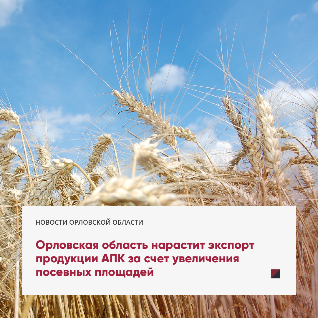 Экспорт продукции апк национальный проект